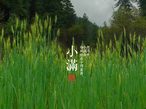 今日小滿，擎川與你一起靜待美滿！